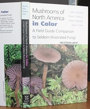 Imagen del vendedor de Mushrooms of North America in Color: A field guide companion to seldom-illustrated fungi a la venta por Ulysses Books, Michael L. Muilenberg, Bookseller