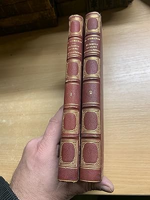 RARE 1864 ELEMENTS DU DROIT INTERNATIONAL VOLS 1 & 2 ANTIQUE FRENCH BOOKS