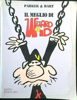 Il meglio di The wizard of Id