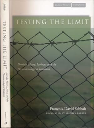 Seller image for Testing the Limit: Derrida, Henry, Levinas and the phenomenological tradition. for sale by Antiquariaat Fenix