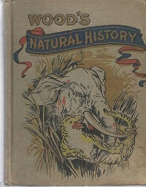 Image du vendeur pour Wood's Natural History For Young People mis en vente par The Book Junction