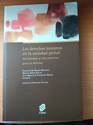 Imagen del vendedor de Los derechos humanos en la sociedad global: mecanismos y vas prcticas para su defensa: Prlogo de Fernando Savater (SIN COLECCION) a la venta por Libros Ramban