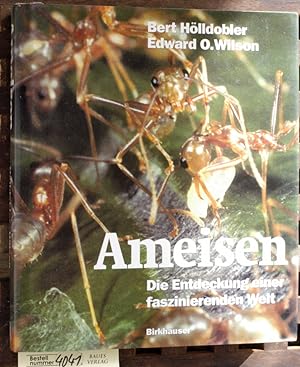 Ameisen : die Entdeckung einer faszinierenden Welt Aus dem Amerikan. von Susanne Böll