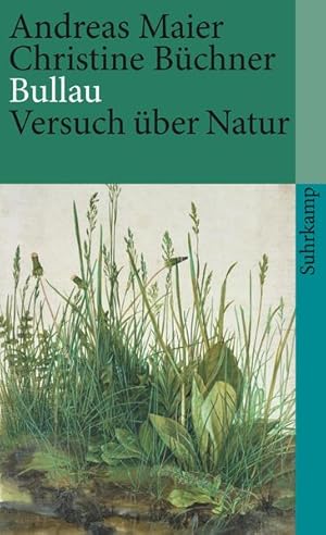 Seller image for Bullau: Versuch ber Natur (suhrkamp taschenbuch) for sale by Gerald Wollermann