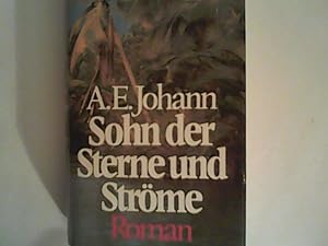 Bild des Verkufers fr Sohn der Sterne und Strme : Roman. zum Verkauf von ANTIQUARIAT FRDEBUCH Inh.Michael Simon