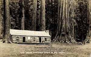 Seller image for Ansichtskarte / Postkarte Yosemite National Park Kalifornien USA, Mariposa, Grove of Big Trees, Log Cabin for sale by akpool GmbH