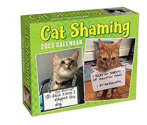 Image du vendeur pour Cat Shaming 2023 Day-To-Day Calendar mis en vente par GreatBookPrices