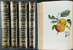 Poiteau's Pomologie Francaiseâ ¦ - Four Volumes with 420 Fruit Engravings