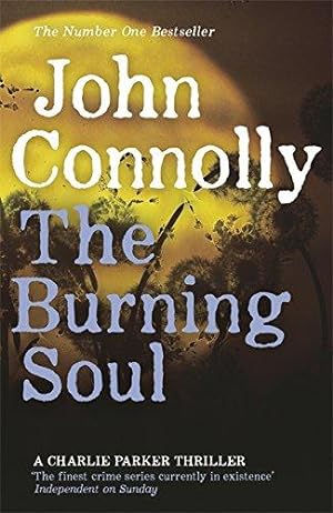 Seller image for The Burning Soul: A Charlie Parker Thriller: 10 for sale by WeBuyBooks 2