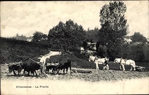 Ansichtskarte / Postkarte Villecresnes Val de Marne, La Prairie