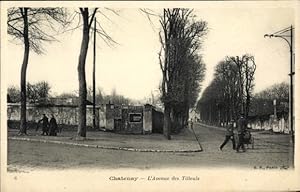 Ansichtskarte / Postkarte Châtenay Malabry Hauts de Seine, Avenue des Tilleuls