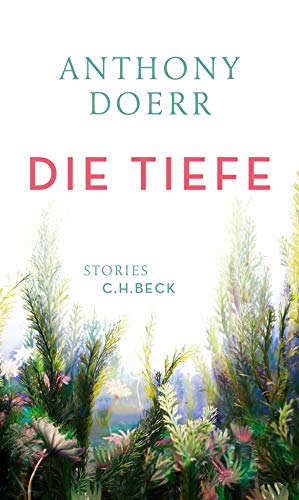 Die Tiefe : Stories. Aus dem Englischen von Werner Löcher-Lawrence;