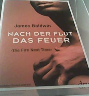 Seller image for Nach der Flut das Feuer: The Fire Next Time for sale by Gabis Bcherlager