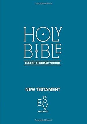 Seller image for New Testament: English Standard Version (ESV) Anglicised for sale by WeBuyBooks 2