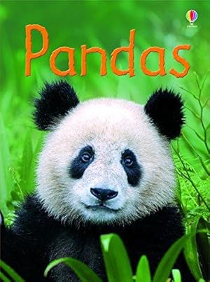 Immagine del venditore per Pandas (Beginners) venduto da WeBuyBooks 2