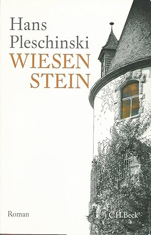 Wiesenstein: Roman.