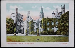 Cardiff Castle Vintage c. 1918 Postcard