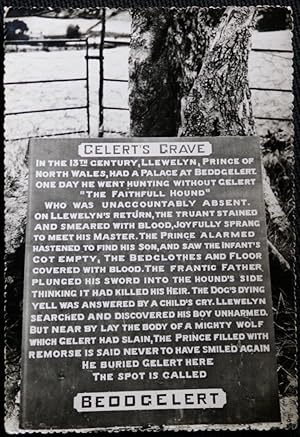 Beddgelert Gelert's Grave RP Postcard