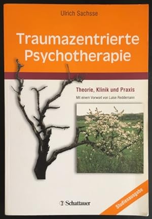 Traumazentrierte Psychotherapie: Theorie, Klinik und Praxis.