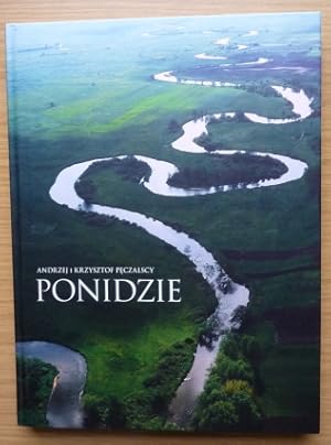 Ponidzie