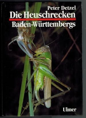 Bild des Verkufers fr Die Heuschrecken Baden-Wrttembergs: 51 Tabellen; [im Rahmen des Artenschutzpogrammes Baden-Wrttemberg]. von. [Die Hrsg. erfolgte in Zusammenarbeit mit der Landesanstalt fr Umweltschutz Baden-Wrttemberg und den Direktionen der Staatlichen Museen fr Naturkunde in Stuttgart und Karlsruhe] zum Verkauf von Elops e.V. Offene Hnde