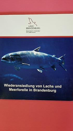 WIEDERANSIEDLUNG VON LACHS UND MEERFORELLE IN BRANDENBURG.