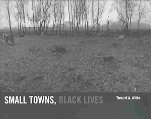 Imagen del vendedor de Small Towns, Black Lives : African American Communities in Southern New Jersey a la venta por GreatBookPrices