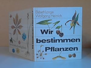 Wir bestimmen Pflanzen