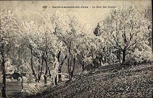 Ansichtskarte / Postkarte Saint-Laurent du Jura, Le Bois des Dames