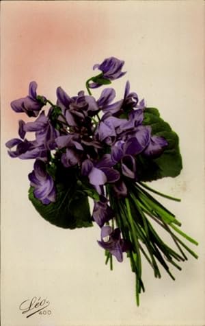 Ansichtskarte / Postkarte Lila Veilchen, Blumenstrauß