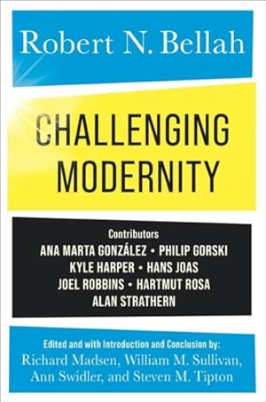 Image du vendeur pour Challenging Modernity mis en vente par GreatBookPrices