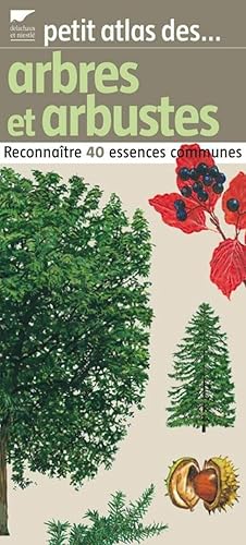 Imagen del vendedor de Petit atlas des arbres et arbustes: Reconnatre 40 essences communes a la venta por Dmons et Merveilles