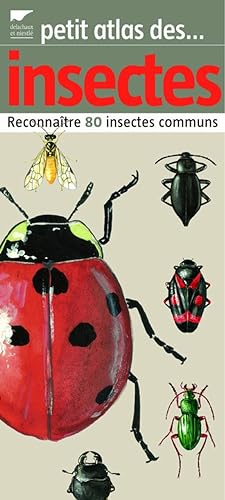 Bild des Verkufers fr Petit atlas des insectes: Reconnatre 80 insectes communs zum Verkauf von Dmons et Merveilles