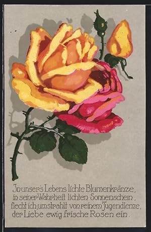 Ansichtskarte Rosafarbene und gelbe Rose