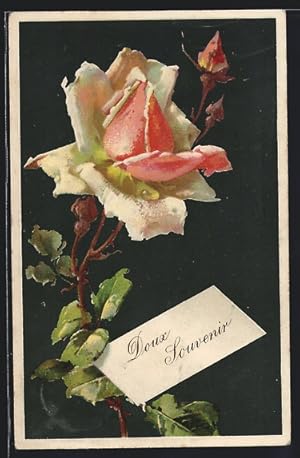 Präge-Ansichtskarte Weisse Rose mit Knospen