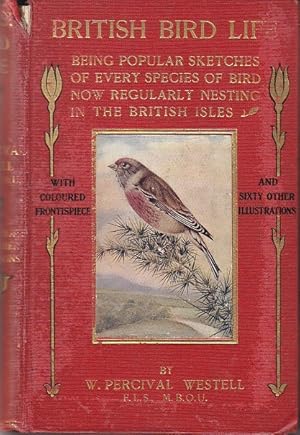 Seller image for British Bird Life, Being Popular Sketches of Every Species of Bird Now Regularly Nesting In the British Isles for sale by Monroe Bridge Books, MABA Member