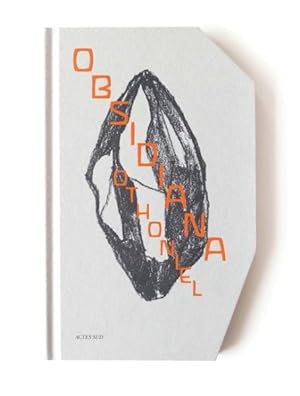 Seller image for Jean-michel Othoniel : Obsidiana for sale by GreatBookPrices