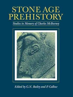 Imagen del vendedor de Stone Age Prehistory : Studies in Memory of Charles McBurney a la venta por GreatBookPrices