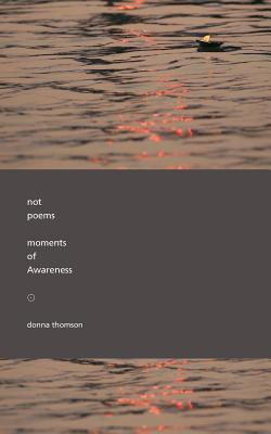 Seller image for Not Poems: Moments of Awareness (Paperback or Softback) for sale by BargainBookStores