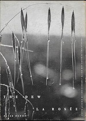 The Dew: Impressions in Black and White - La Rosée: Impressions en Noir et Blanc