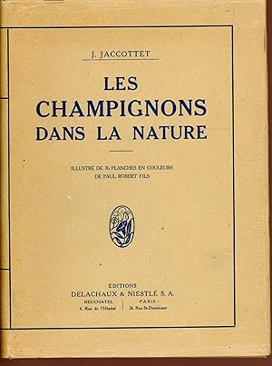 Les champignons dans la nature