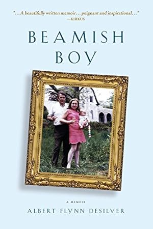 Bild des Verkufers fr Beamish Boy: A Memoir of Recovery and Awakening zum Verkauf von WeBuyBooks