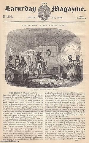 Imagen del vendedor de Cultivation of The Manioc Plant; Coronations: Services Performed at The Coronation by Tenure of Grand Sergeantry. The Court of Claims; Poison-Fangs in Serpents; Comparative Tables of The Weights, Measures, and Monies of Europe, with Observations on Elementary Measures, and on Monies of Accompt, etc. Issue No. 393. August, 1838. A complete rare weekly issue of the Saturday Magazine, 1838. a la venta por Cosmo Books