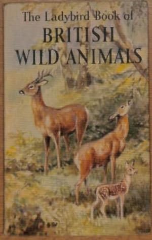 Immagine del venditore per British Wild Animals: 6 (A Ladybird book series 536) venduto da WeBuyBooks