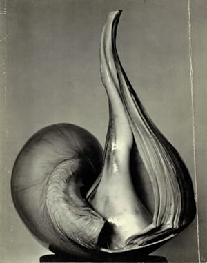 Seller image for EW:100: Centennial Essays in Honor of Edward Weston for sale by LEFT COAST BOOKS