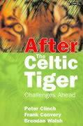 Imagen del vendedor de After the Celtic Tiger: Challenges Ahead a la venta por moluna
