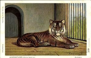 Künstler Ansichtskarte / Postkarte Koekkoek, MA, King Tiger, Uncia tigris L.