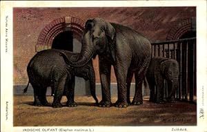 Künstler Ansichtskarte / Postkarte Koekkoek, MA, Indischer Elefant, Elephas maximus L.