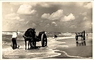 Ansichtskarte / Postkarte Katwijk aan Zee Südholland Niederlande, Muschelfischer am Strand, Fuhrwerk