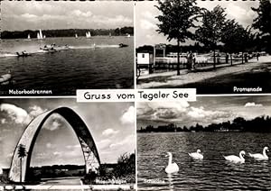 Ansichtskarte / Postkarte Berlin Reinickendorf Tegel, See, Motorbootrennen, Promenade, Mosaikboge...